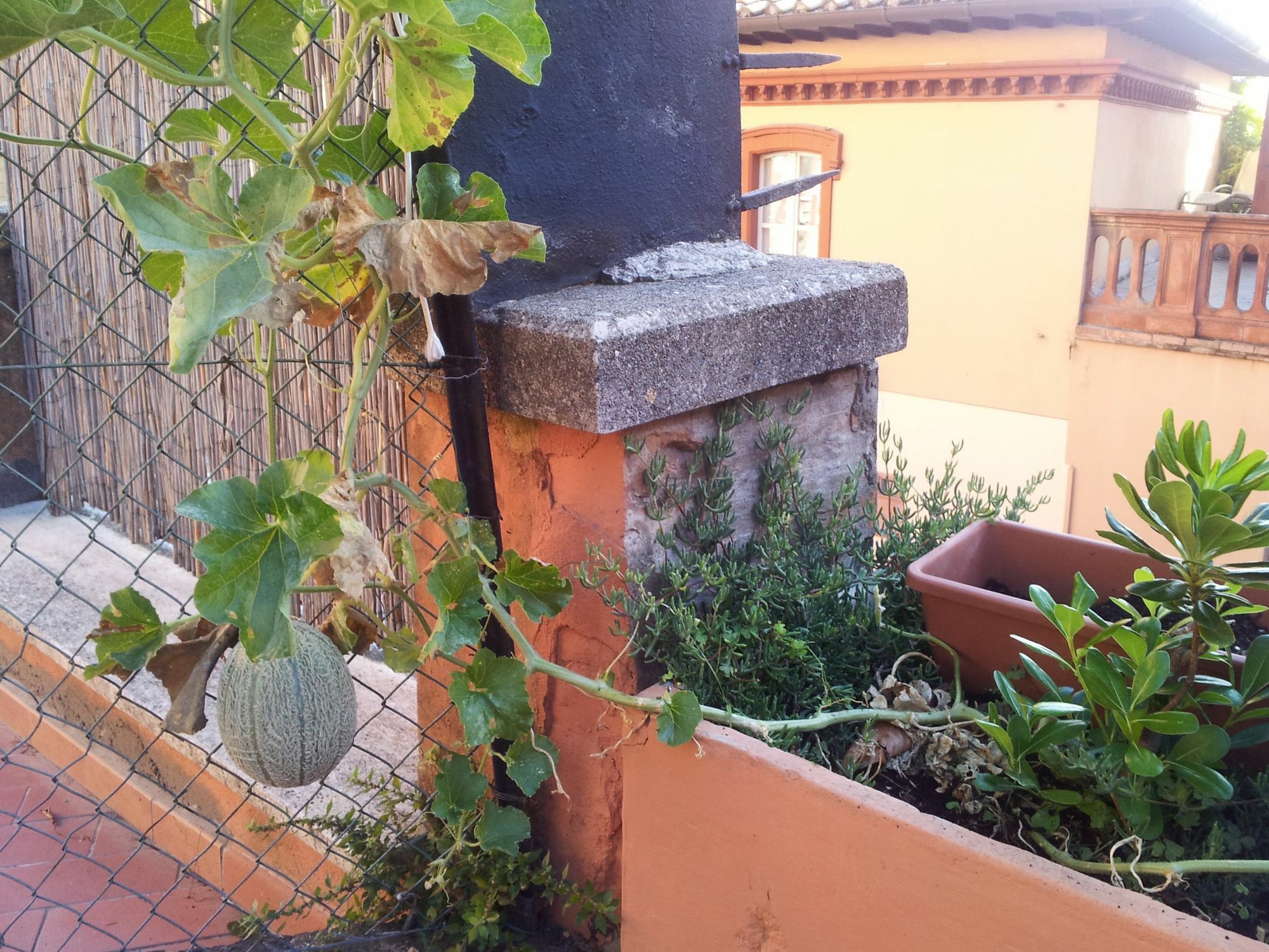 Al Giardino Di Alice Bed & Breakfast เปรูจา ภายนอก รูปภาพ